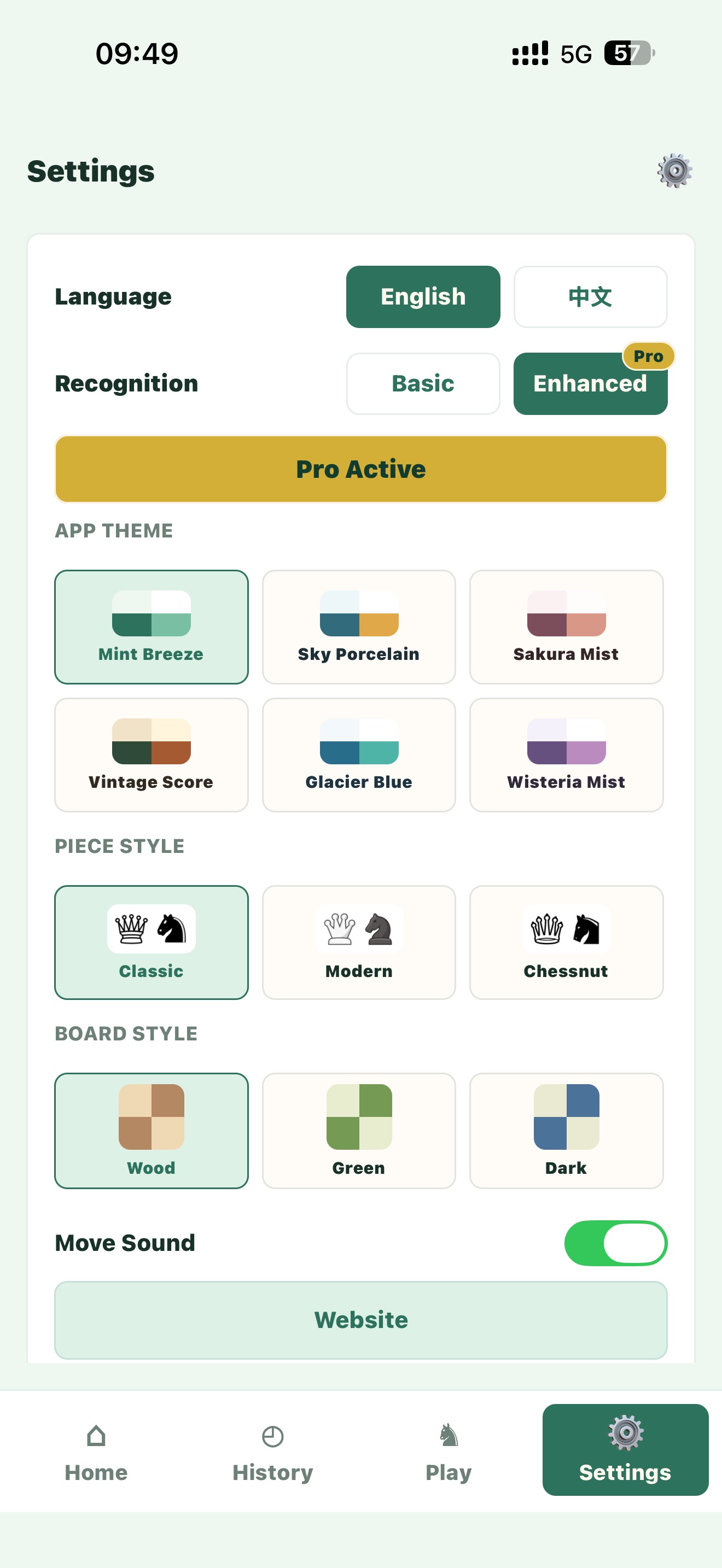 Settings screen with language, recognition, theme, piece style, and board style options